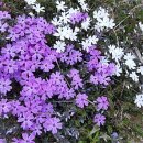 홍천팬션위드엘 이미지