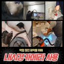 홍성하수구변기세면대막힘 이미지