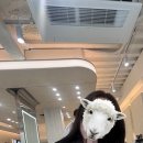 내돈내산 헤메 다교 청담본점 선민쌤 메이크업 유정쌤 헤어 가격대 주차 후기