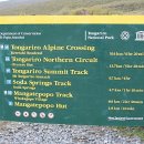 뉴질랜드 한국전 참 이미지