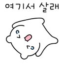 리버스토리 1210 이미지