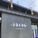 인포그
