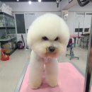 몽이네컷 이미지