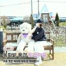 목화밭 | 청주 버터떡 파는 곳 찾아? 토성마을 카페 3월 말 목화밭 내돈내산 후기