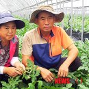 새농민농장(1농장) 이미지