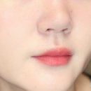 산뜻한 데일리 틴트🌸 웨이크메이크 볼드 블러 틴트 04 포쉬 12 로젤레떼 후기