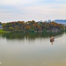 황포돗대 주변 이미지