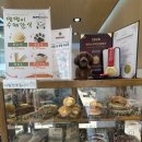 예림애견용품 아울렛 | 전주 500평 규모 넓은 애견운동장 애견카페 무프스 내돈내산 솔직후기