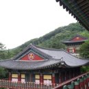 청경한식뷔페/(주)정진 | 계룡산(향적산) 숭산국제선원 무상사 2017하안거 일주일 템플스테이 후기 (참선수행 소감)