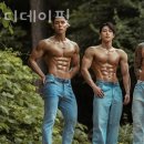 디데이핏 이미지