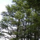 1073목장 이미지