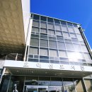 꿈꾸는 나무 도서관 이미지