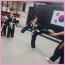 다부진 합기도 이미지