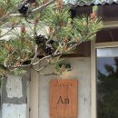송원애견 | 가평 운악산 출렁다리 근처 스너글리 안 후기｜애견동반 가능