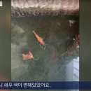 중국 날씨 근황 이미지