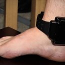 창원보호관찰소 통영지소 이미지