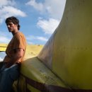 도그스타 이미지