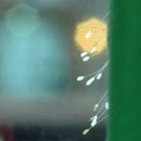 PC 훼미리 이미지