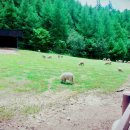 강릉폴게스트하우스 이미지