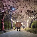 (주)영종레저 | 영종 씨사이드 레일바이크 영종도 여행의 백미!