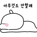 사계절낚시 이미지