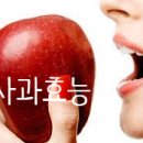 하루에 사과한알 심장질환을 낮춘다 이미지