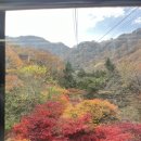 명동산장펜션 | 단풍 시즌 내장산 숙박 추천, 명동 산장 펜션 1박2일 후기