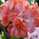 푸른맘한의원 이미지