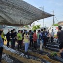 포리초등학교 이미지