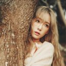 태연