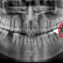 나우치과의원 이미지