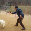 화수중학교 이미지