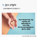 감사의 삶 3기 21일차(1.21) 이미지