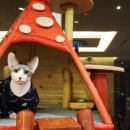 서림민박 이미지