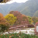 장계관광지 이미지