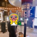 곱창짚황소돌양곱창본점 이미지
