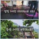 동교길-1 | 선산점핑다이어트 성공후기,그주인공은 바로 당신🩷