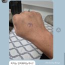 핑크퍼피(PINKPUPPY) | 찌개냐 찌게냐 암튼 알고니파는 마을 다녀온 이야기