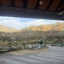 채리네민박 이미지