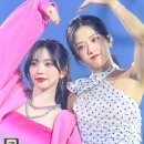 댕댕이와냥이 이미지