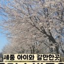 스타벅스 세종금강DT점 이미지