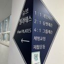 클래식 1:1 개인레슨 | [슈브필라테스답십리점] 클래식필라테스 핏트릭스 체형분석과 1:1개인레슨 후기