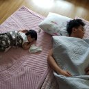 이가네돈뽈 이미지