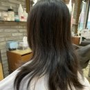 현재헤어센스 이미지