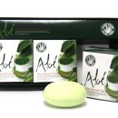 알로에테마파크 이미지