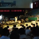 조천중학교 이미지