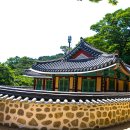 정들면