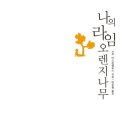 241오렌지 이미지