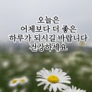 하루 한잔 커피가 건강에 미치는 놀라운 효능 11가지 이미지