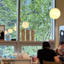 본도시락(광화문점) | [먹부림 위크] 규카츠정/ 수수커피/ / 비스트로가마/ 아펠가모 광화문 하객 후기 / 쑥편환 복용